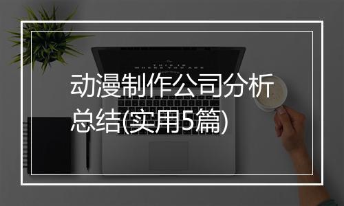 动漫制作公司分析总结(实用5篇)