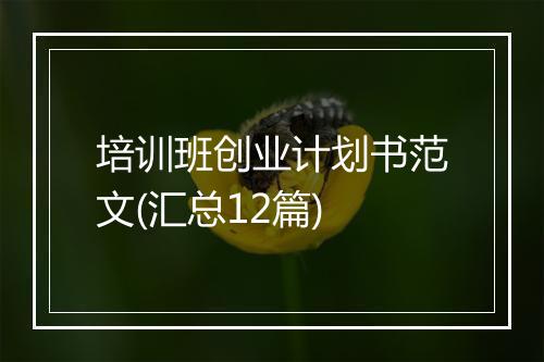 培训班创业计划书范文(汇总12篇)