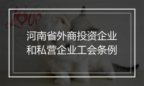 河南省外商投资企业和私营企业工会条例