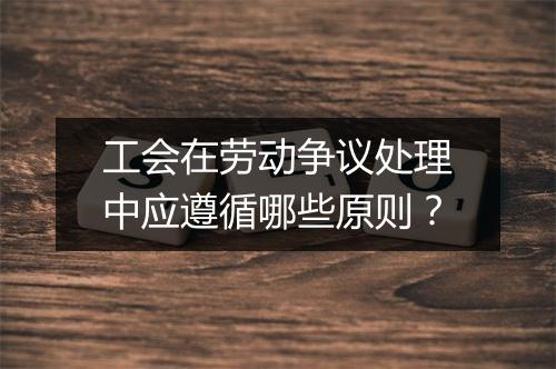 工会在劳动争议处理中应遵循哪些原则？