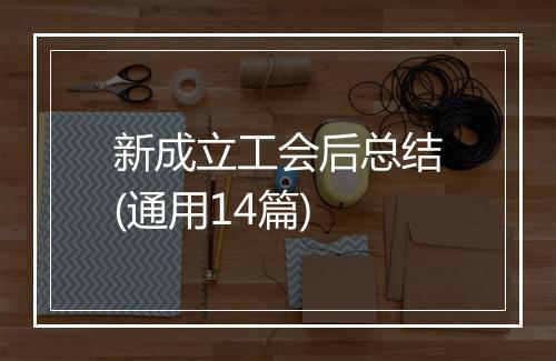 新成立工会后总结(通用14篇)