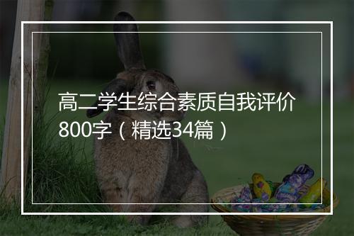 高二学生综合素质自我评价800字（精选34篇）