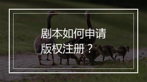 剧本如何申请版权注册？