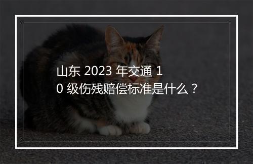 山东 2023 年交通 10 级伤残赔偿标准是什么？