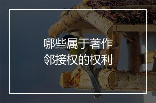 哪些属于著作邻接权的权利