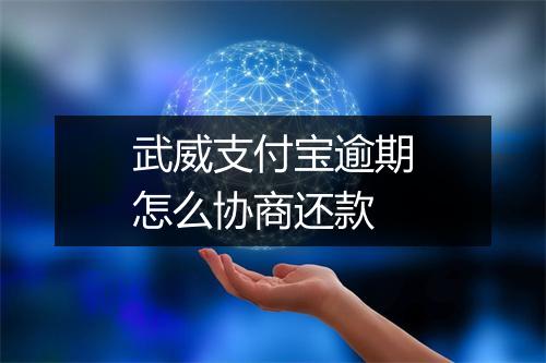 武威支付宝逾期怎么协商还款