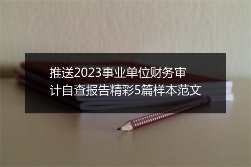 推送2023事业单位财务审计自查报告精彩5篇样本范文