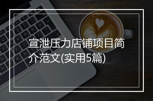 宣泄压力店铺项目简介范文(实用5篇)