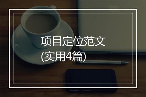 项目定位范文(实用4篇)