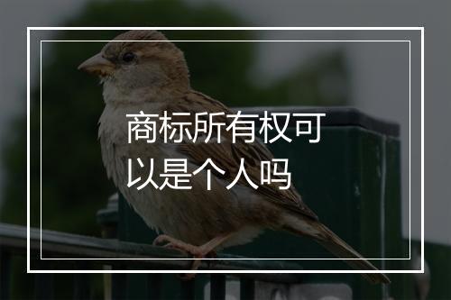 商标所有权可以是个人吗