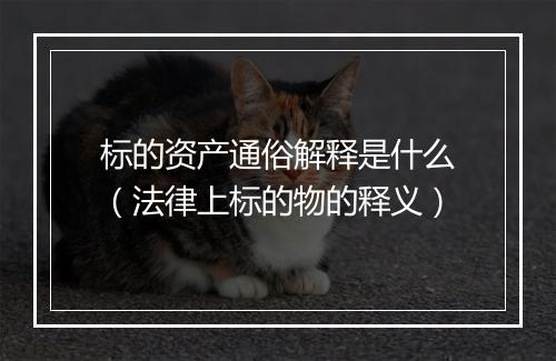 标的资产通俗解释是什么（法律上标的物的释义）