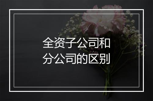 全资子公司和分公司的区别