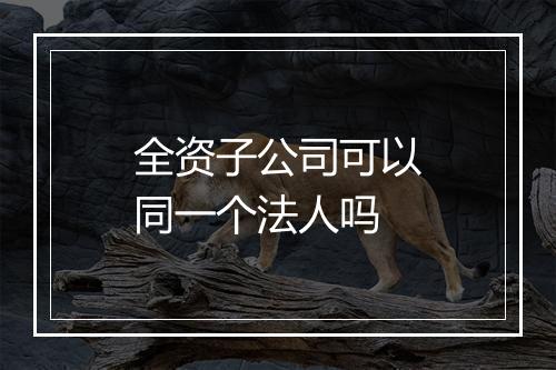 全资子公司可以同一个法人吗