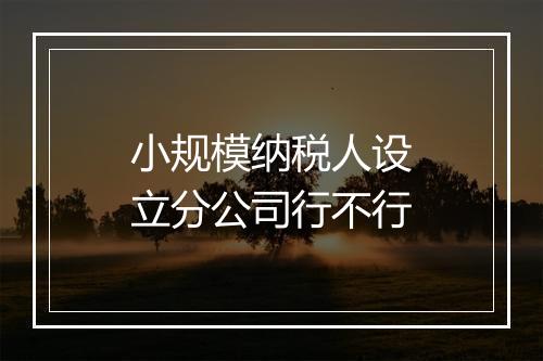 小规模纳税人设立分公司行不行