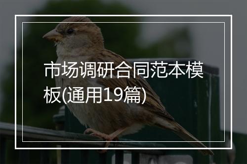 市场调研合同范本模板(通用19篇)