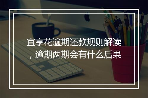 宜享花逾期还款规则解读，逾期两期会有什么后果