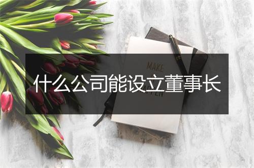 什么公司能设立董事长