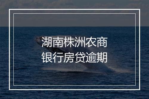 湖南株洲农商银行房贷逾期
