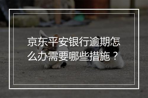 京东平安银行逾期怎么办需要哪些措施？