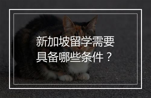 新加坡留学需要具备哪些条件？