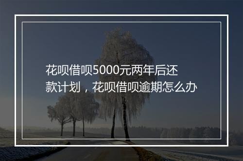 花呗借呗5000元两年后还款计划，花呗借呗逾期怎么办