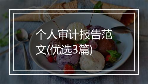个人审计报告范文(优选3篇)