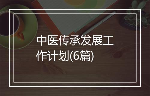 中医传承发展工作计划(6篇)