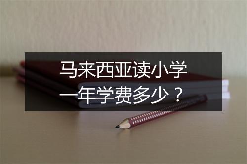 马来西亚读小学一年学费多少？