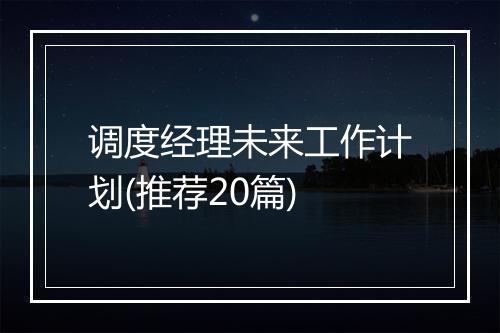 调度经理未来工作计划(推荐20篇)