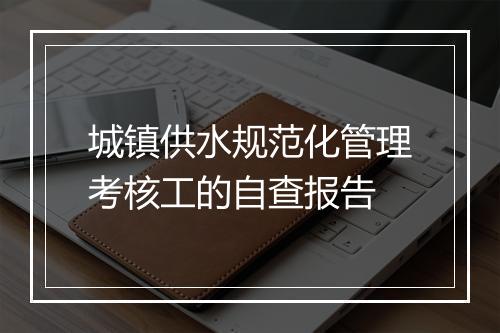 城镇供水规范化管理考核工的自查报告