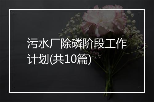 污水厂除磷阶段工作计划(共10篇)