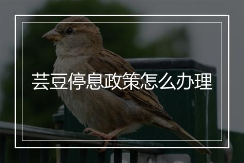 芸豆停息政策怎么办理