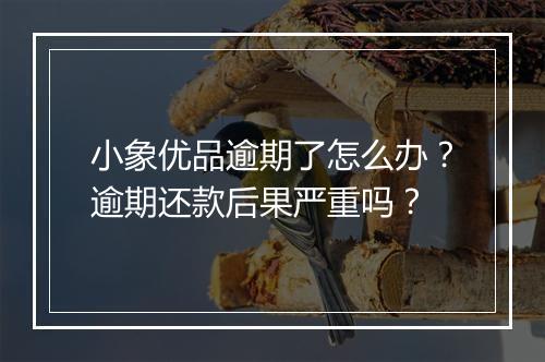小象优品逾期了怎么办？逾期还款后果严重吗？