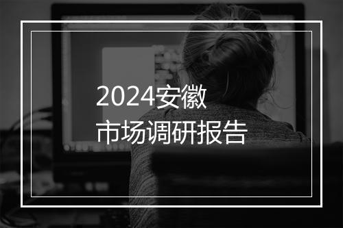 2024安徽市场调研报告