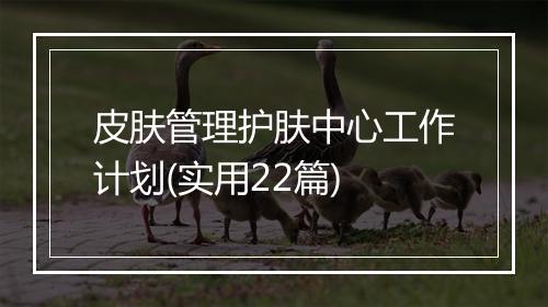 皮肤管理护肤中心工作计划(实用22篇)