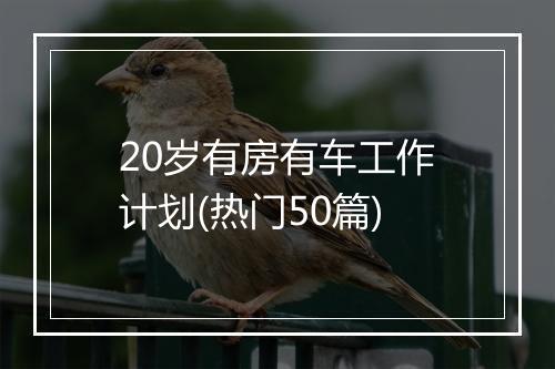 20岁有房有车工作计划(热门50篇)