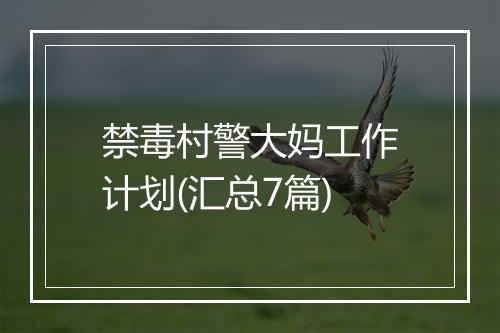 禁毒村警大妈工作计划(汇总7篇)
