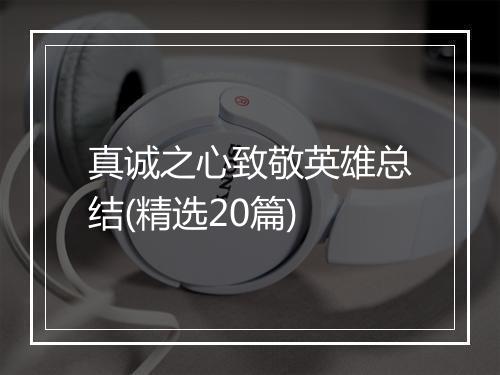 真诚之心致敬英雄总结(精选20篇)