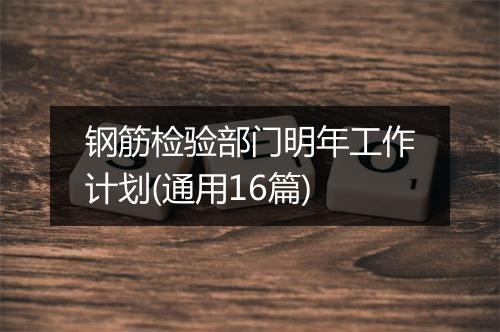 钢筋检验部门明年工作计划(通用16篇)