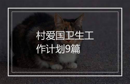 村爱国卫生工作计划9篇