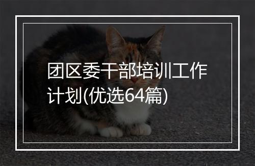团区委干部培训工作计划(优选64篇)