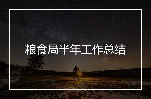 粮食局半年工作总结