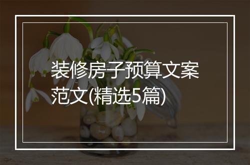 装修房子预算文案范文(精选5篇)