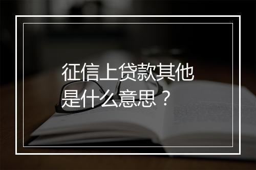 征信上贷款其他是什么意思？