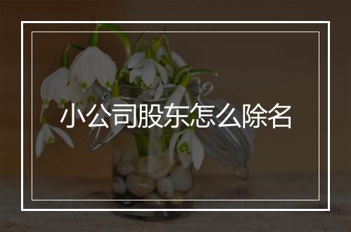 小公司股东怎么除名