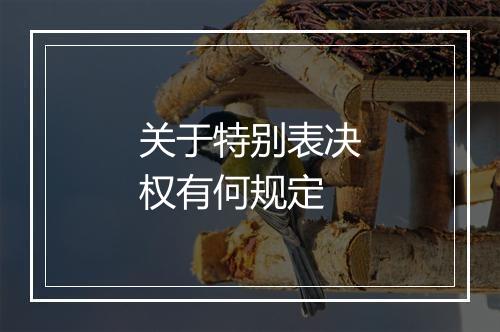 关于特别表决权有何规定