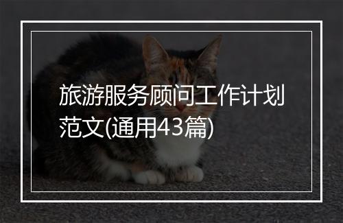 旅游服务顾问工作计划范文(通用43篇)