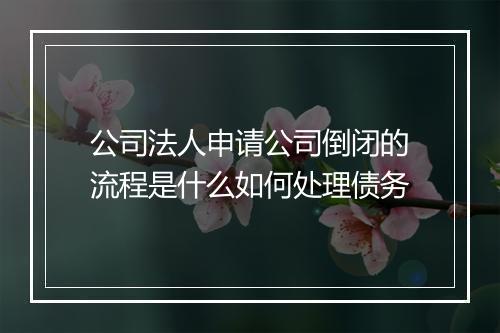 公司法人申请公司倒闭的流程是什么如何处理债务