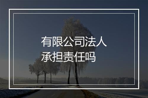有限公司法人承担责任吗
