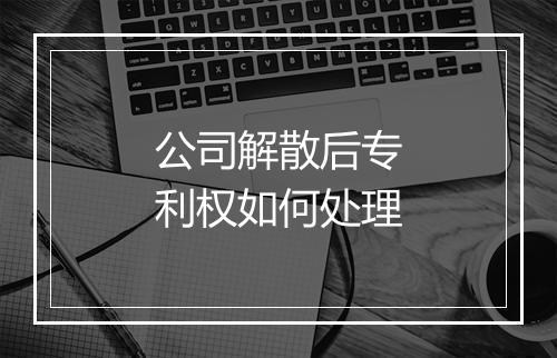 公司解散后专利权如何处理
